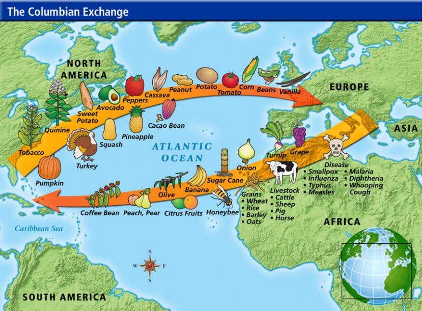 Picture