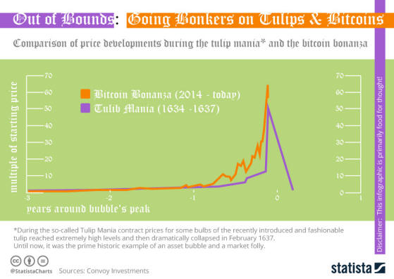 Image result for tulip mania chart